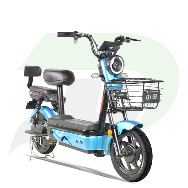 悦途款 电动车