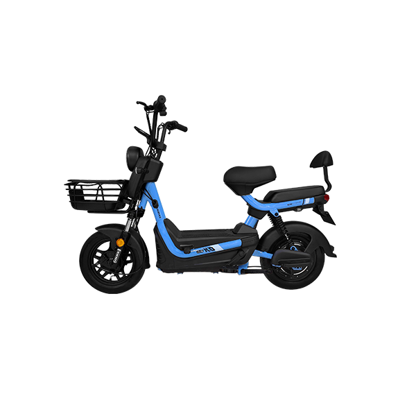Assembly electric bike
