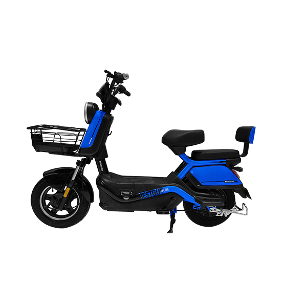 Cheetah electric bike