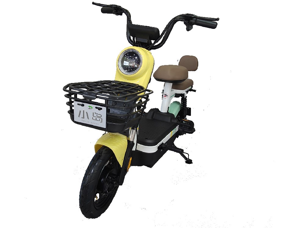 shandian manufacturer supplier wholesale China electric bicycle