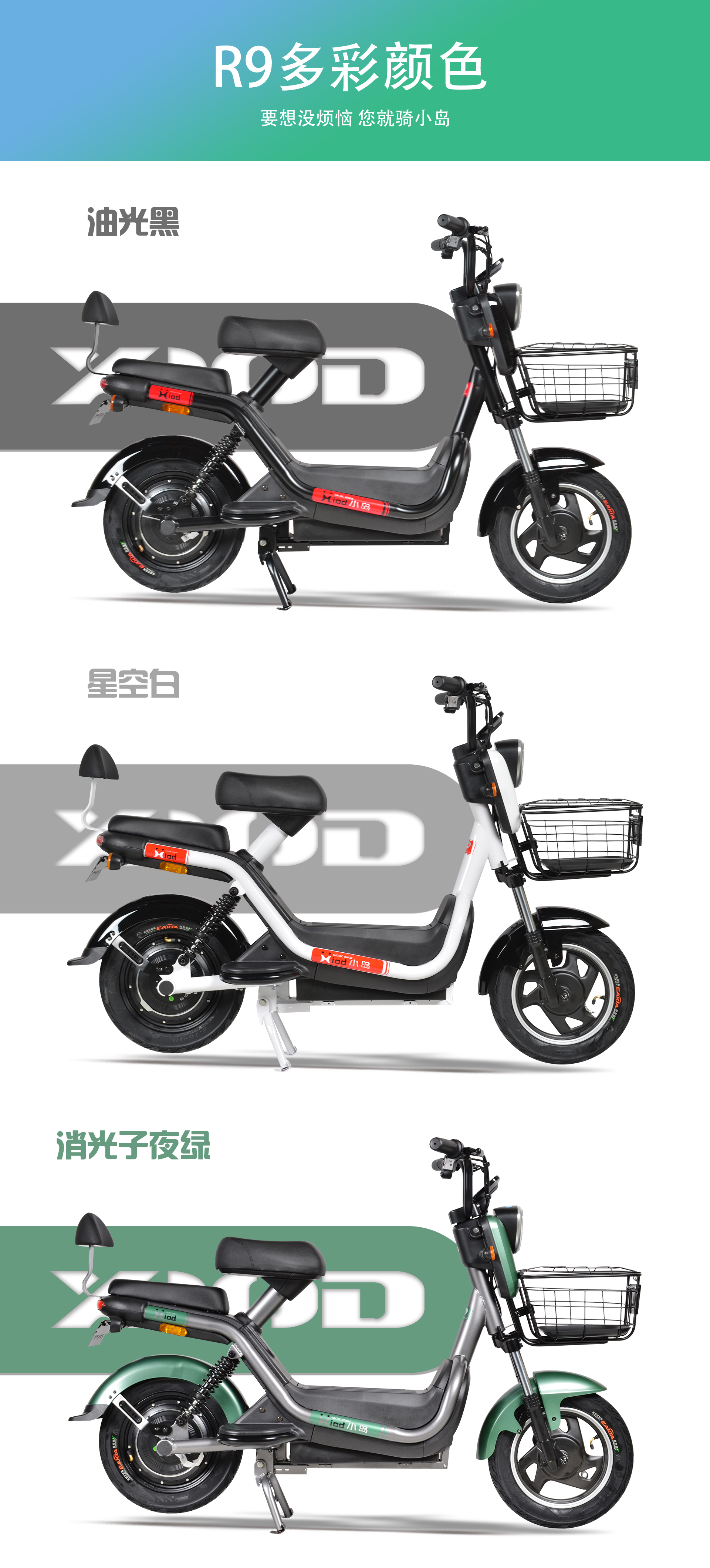 R9 (7).jpg